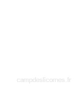 Betz Couverture Polaire à Carreaux Couleur: Marron Taille 150 x 200 cm