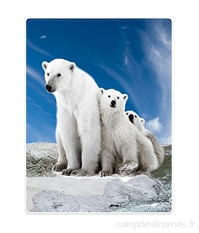 Violetpos Couverture épaisse et douce et chaude en flanelle polaire pour canapé - Motif ours polaire blanc et ciel bleu - 150 x 200 cm
