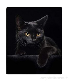 YISUMEI - Couverture polaire douce – Chat noir 150 x 200 cm convient pour canapé ou lit