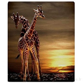 YISUMEI - Couverture polaire douce – Girafes 150 x 200 cm convient pour canapé ou lit