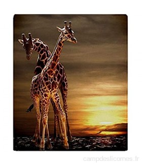 YISUMEI - Couverture polaire douce – Girafes 150 x 200 cm convient pour canapé ou lit