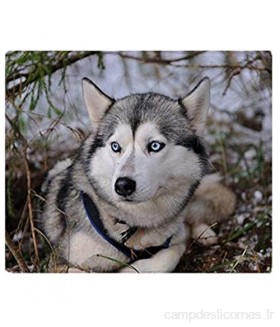 YISUMEI - Couverture polaire douce – Husky de Sibérie 100 x 150 cm Jeté de canapé ou lit